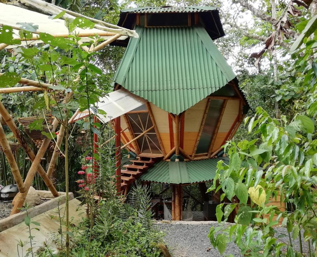 EcoLodge Kasaguadua Salento Exterior foto
