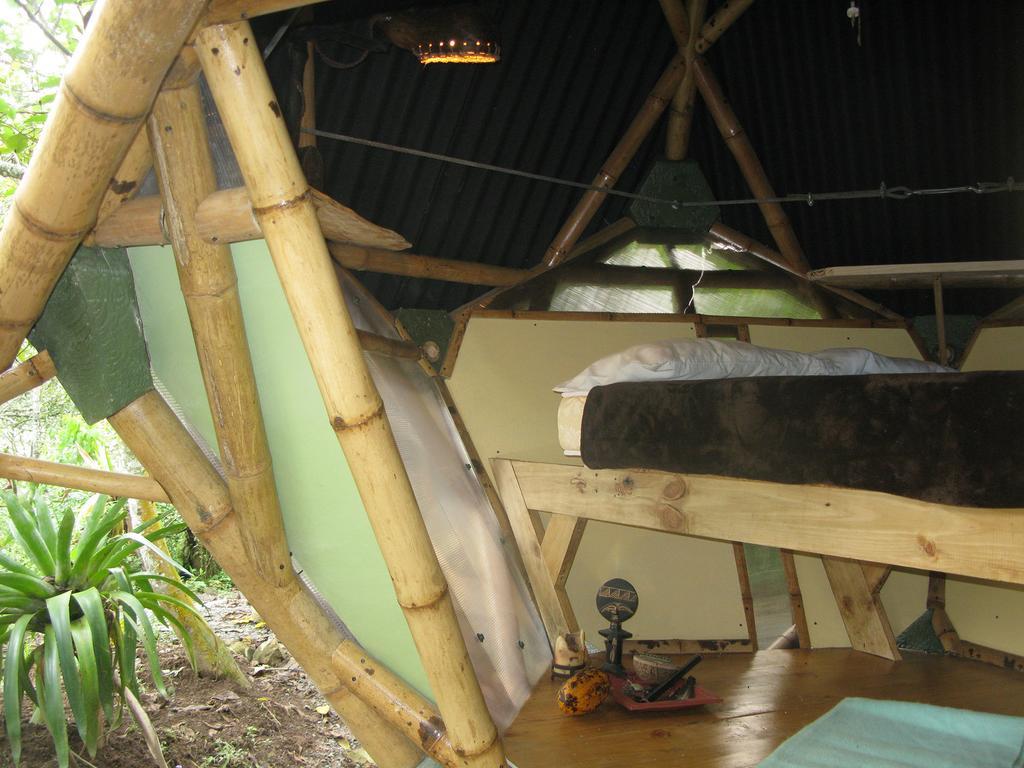 EcoLodge Kasaguadua Salento Habitación foto